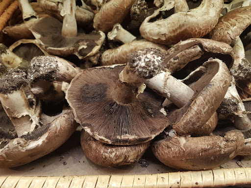 Grocery Store «City Market/Onion River Co-op», reviews and photos, 82 S Winooski Ave, Burlington, VT 05401, USA