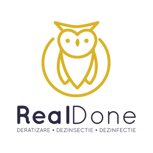 realdone-3d.com