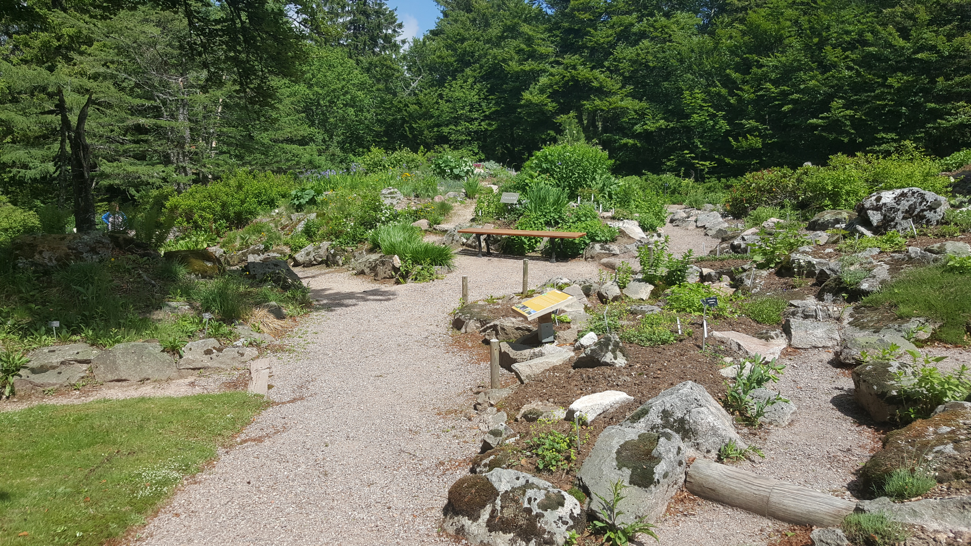 Photo n° 17 de l'avis de Jean-Sébastien.O fait le 23/06/2019 à 16:49