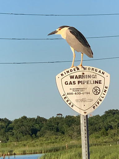 Nature Preserve «Baytown Nature Center», reviews and photos, 6213 Bayway Dr, Baytown, TX 77520, USA