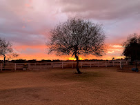 Lil' Smokies Julianas - Photo 8 - Car repair in , Gilbert