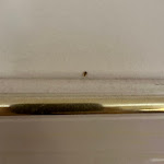 Photo n°4 de l'avis de Samuele.u fait le 24/08/2023 à 02:57 sur le  Hotel Il Gelso Bianco à Misterbianco