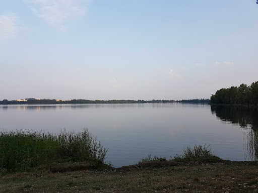 Anepol - Jelita do Kiełbas, Przyprawy, Dąbrowa Górnicza Katowice