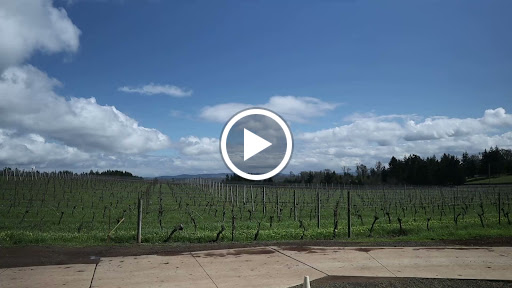 Winery «Chateau Bianca Winery», reviews and photos, 17485 OR-22, Dallas, OR 97338, USA