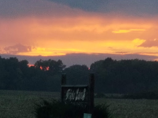 Golf Club «Triple Lakes Golf Club», reviews and photos, 6942 Triple Lakes Rd, Millstadt, IL 62260, USA