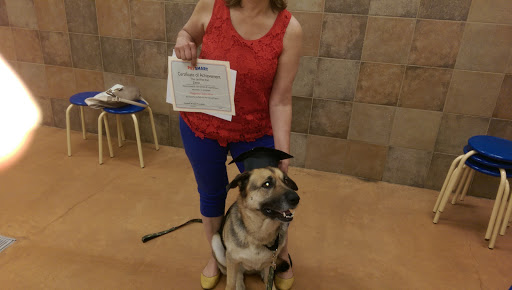 Pet Supply Store «PetSmart», reviews and photos, 11860 Spectrum Center, Reston, VA 20190, USA