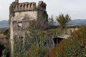 Castello di Trebiano image