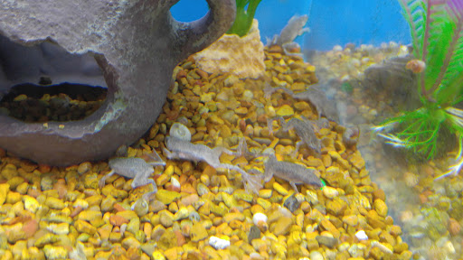 Pet Supply Store «PetSmart», reviews and photos, 144 Retail Commons Pkwy, Martinsburg, WV 25403, USA