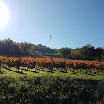 Photo n°3 de l'avis de roberto.a fait le 08/11/2017 à 12:18 sur le  Oro Rosso Hotel Ristorante à Montefalco