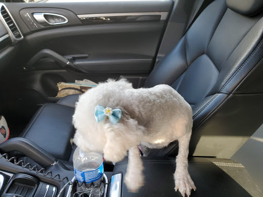 Pet Supply Store «PetSmart», reviews and photos, 2347 N Telegraph Rd, Monroe, MI 48162, USA