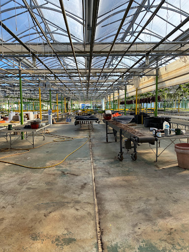 Florist «Dutch & Olgas Greenhouse», reviews and photos, 1285 NJ-36, Hazlet, NJ 07730, USA