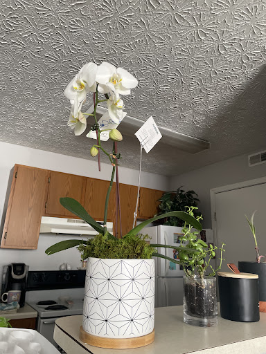 Florist «Flowerama Columbus», reviews and photos, 1600 Morse Rd, Columbus, OH 43229, USA