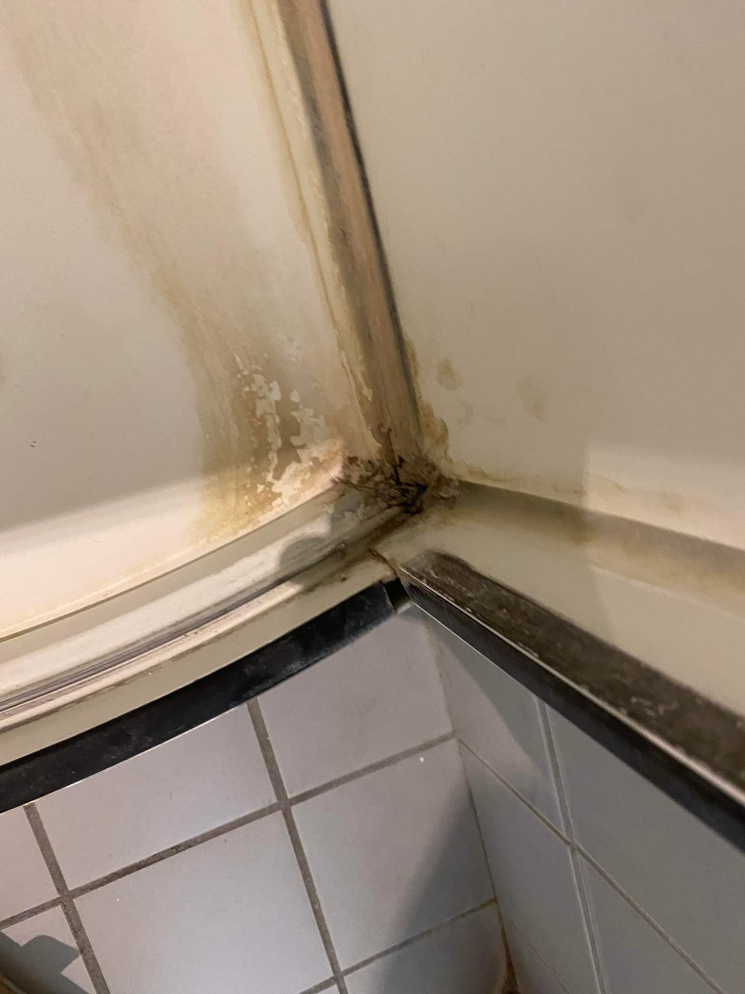 Photo n° 8 de l'avis de anne.e fait le 24/06/2022 à 17:34