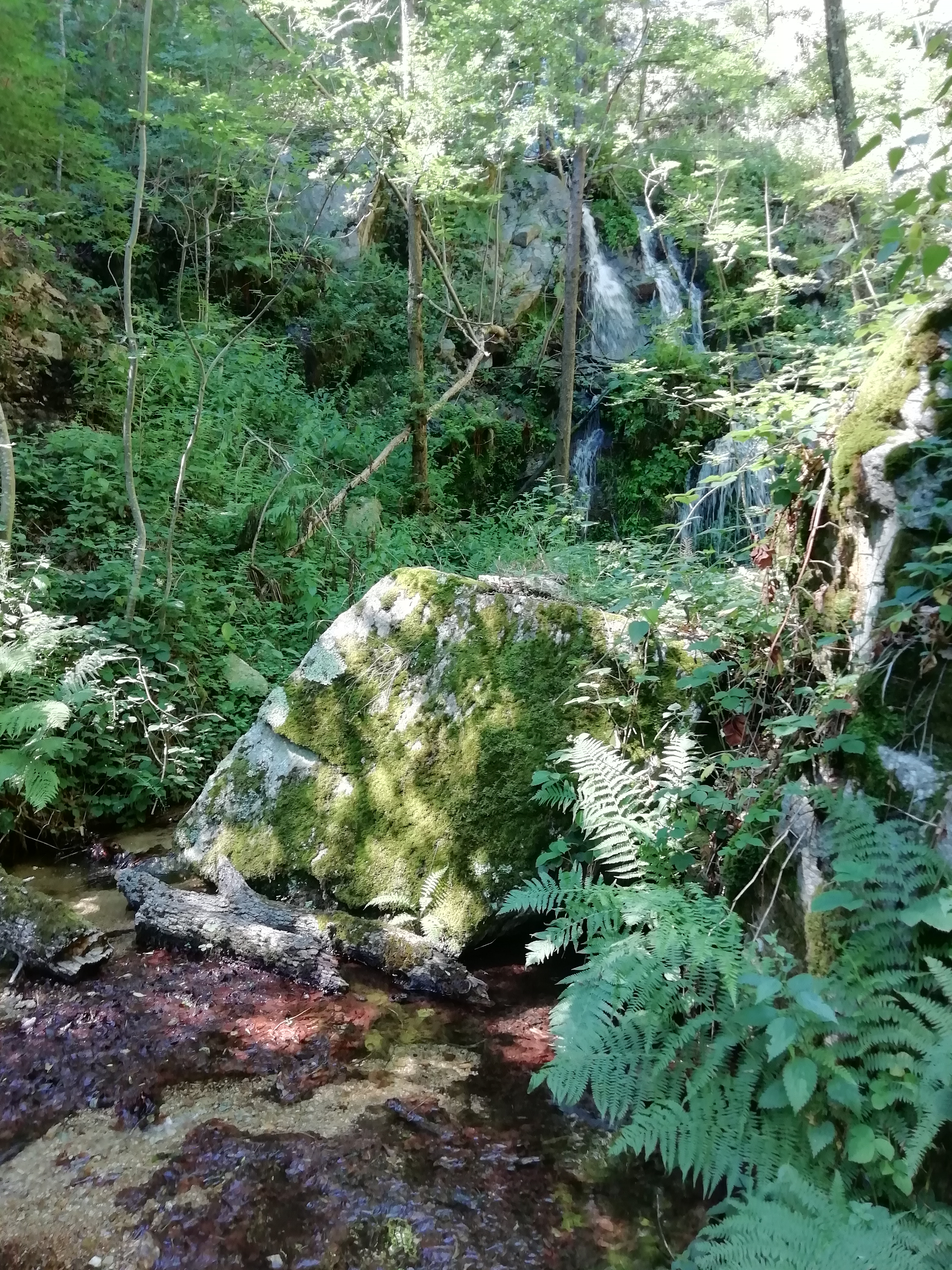 Photo n° 4 de l'avis de Tiphaine.a fait le 06/08/2022 à 15:43
