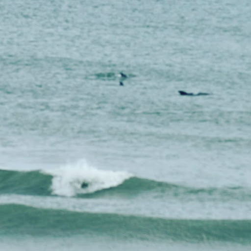 Bicycle Rental Service «Ocean Rentals Ltd.», reviews and photos, 577 Sandbridge Rd, Virginia Beach, VA 23456, USA