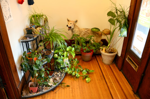 Find finger tattoo ideas for men for your next unique tattoo in Louisville at Twisted Images