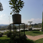 Photo n°6 de l'avis de Daniele.i fait le 13/09/2020 à 17:32 sur le  Tenuta Colle Rajano à Ruviano