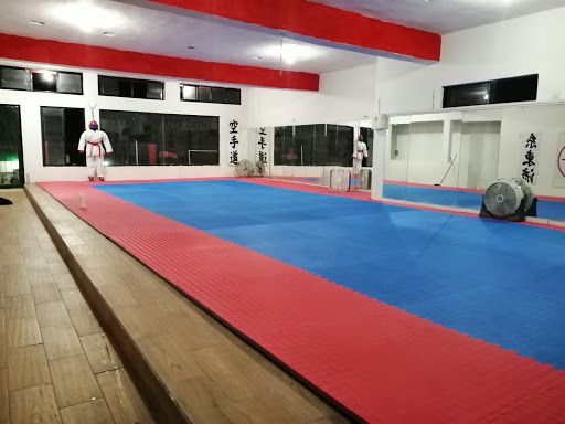 Karate Do Shito Ryu Monterrey