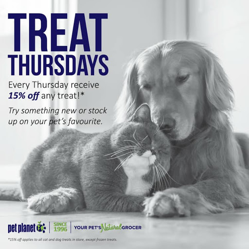 Pet Store «Pet Planet Ridgeview», reviews and photos, 2910 N Power Rd #103, Mesa, AZ 85215, USA