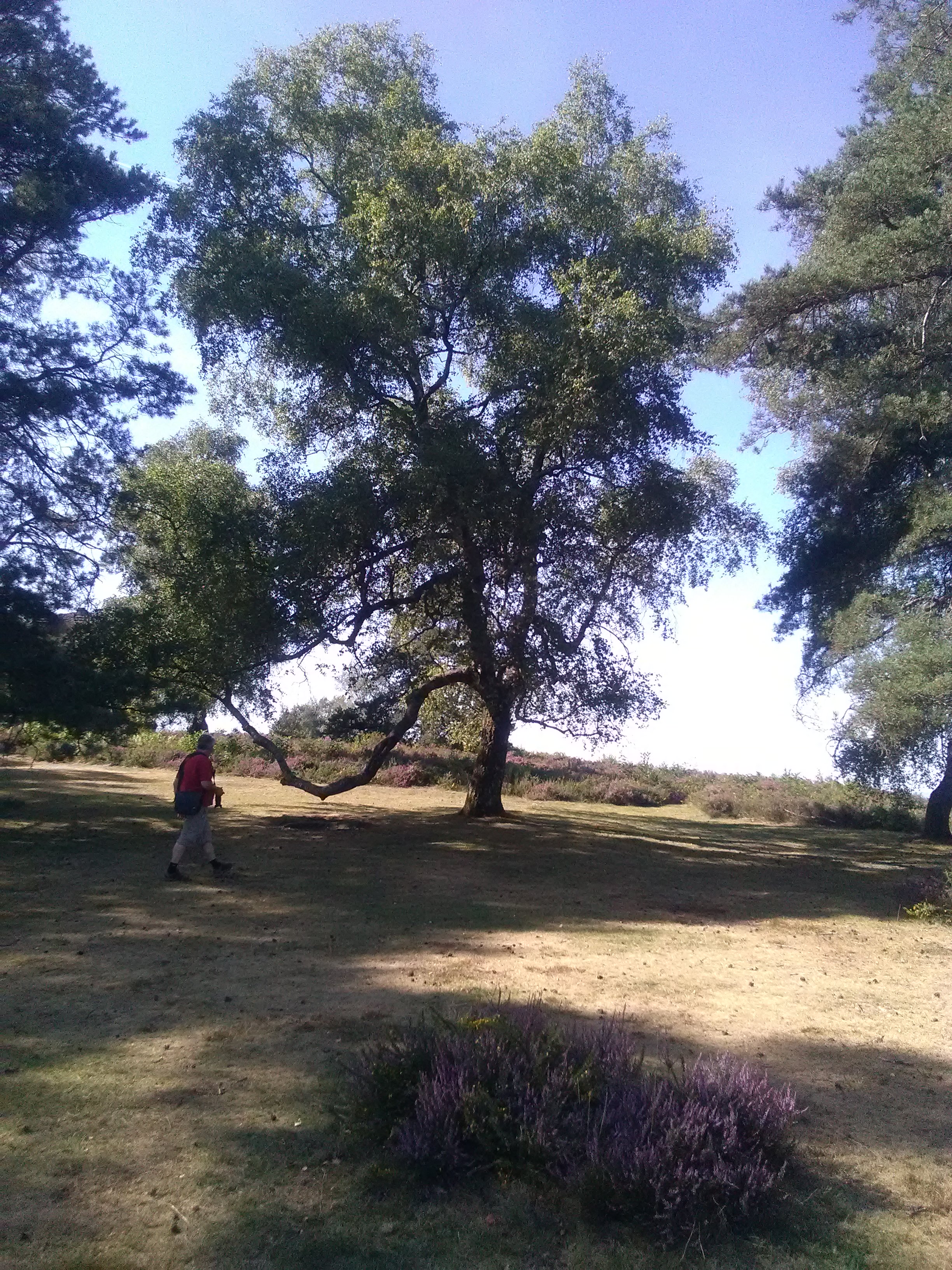 Photo n° 3 de l'avis de GoutteGoutte.. fait le 10/09/2019 à 20:02