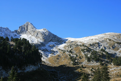 La Sambuy Faverges-Seythenex à Faverges