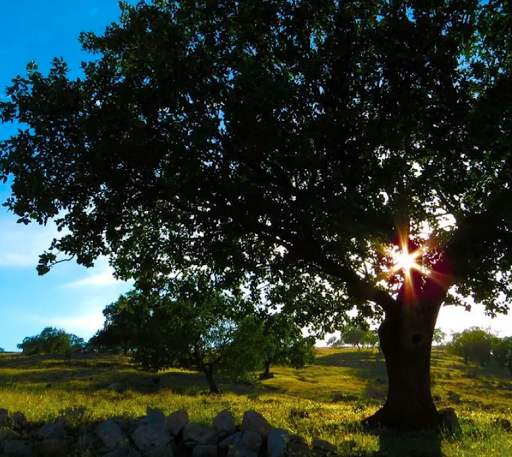 Funeral Home «George G Fitzpatrick Funeral», reviews and photos, 1500 Old York Rd, Abington, PA 19001, USA