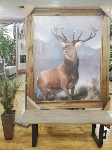 Department Store «HomeGoods», reviews and photos, 309 Newbury St, Danvers, MA 01923, USA