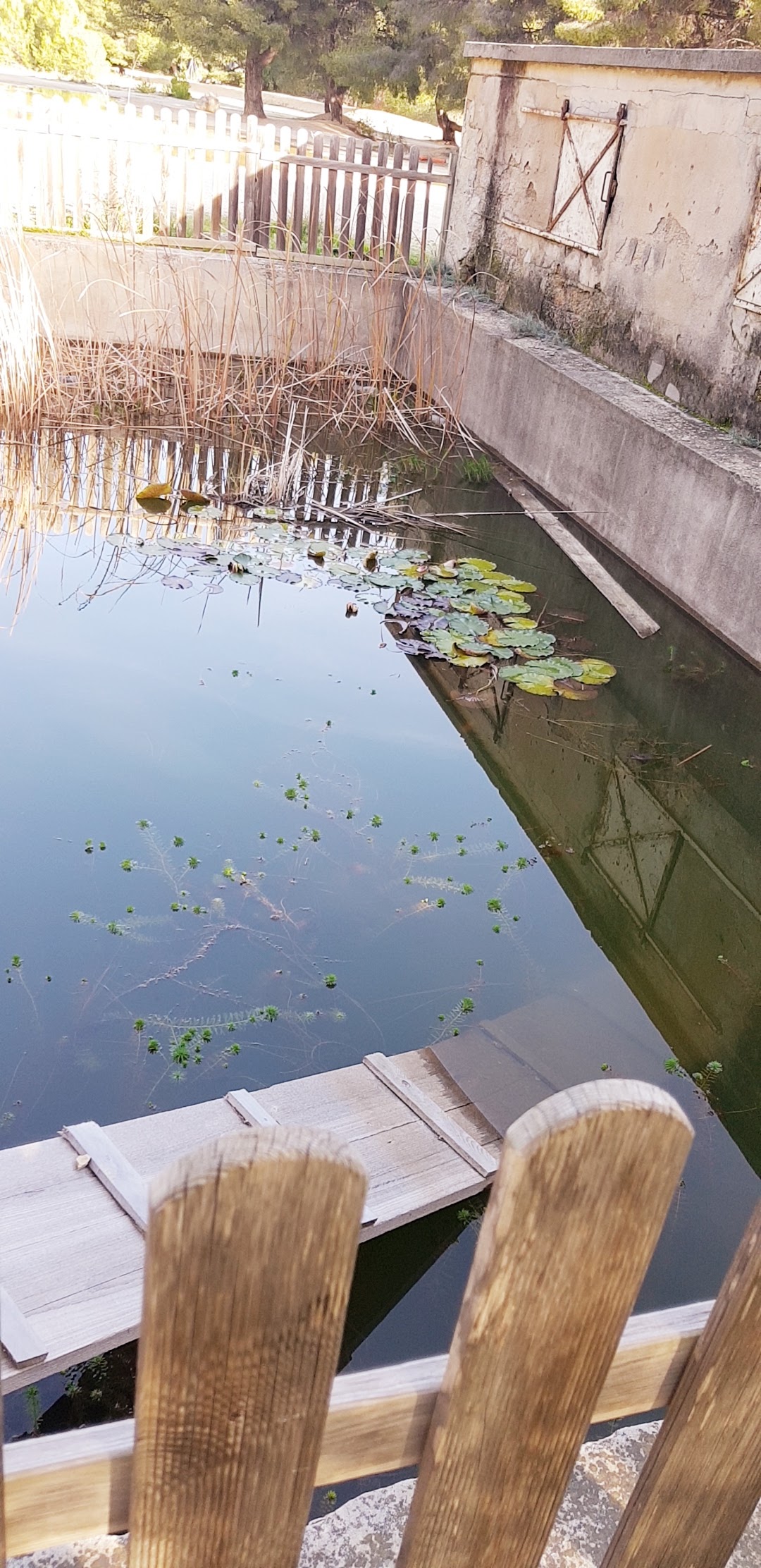 Photo n° 5 de l'avis de David.o fait le 07/01/2019 à 16:46