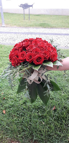 Avaliações doCanto Vivo florista em Ílhavo - Floricultura