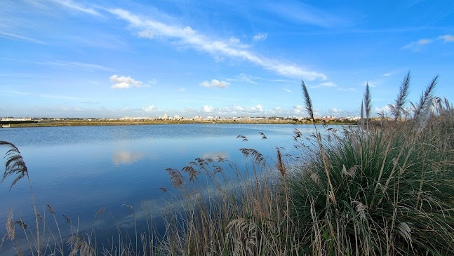 Salinário - Cale do Oiro - Aveiro