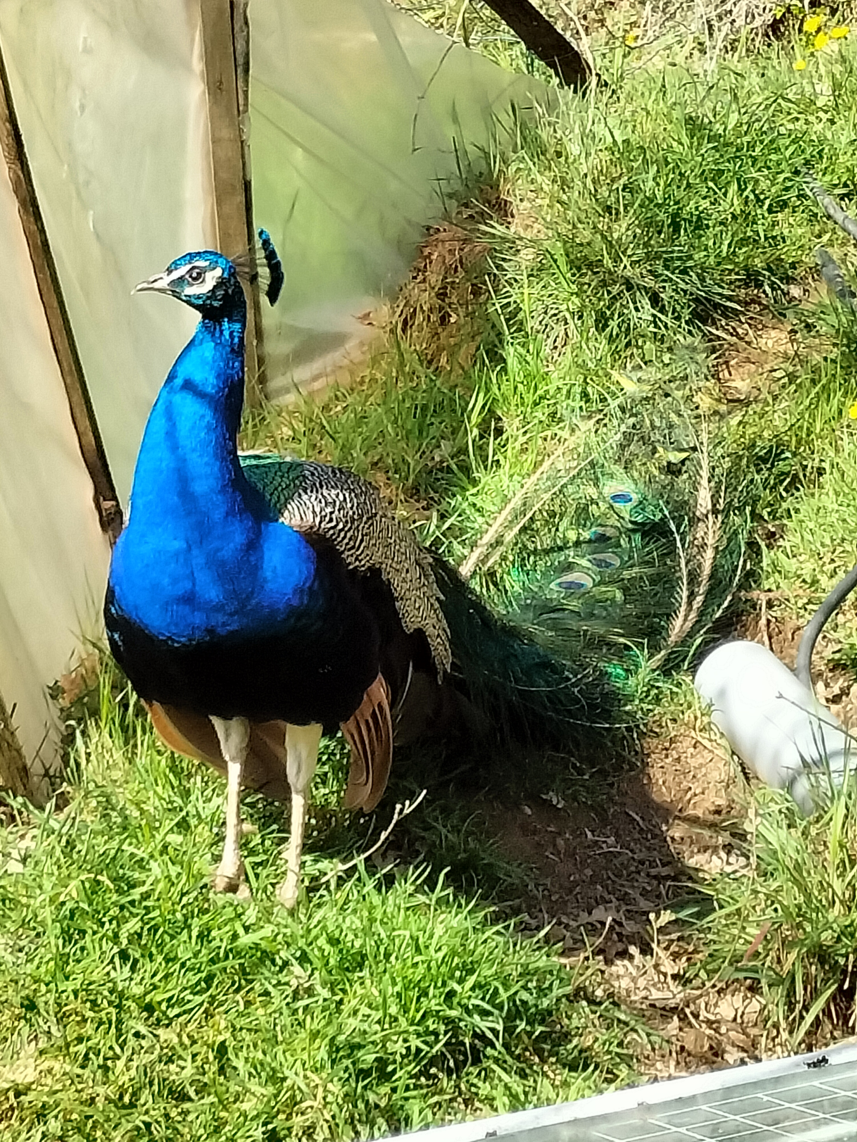 Photo n° 2 de l'avis de Véronique.A fait le 23/04/2023 à 17:00