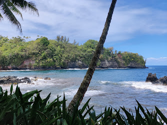 Hawai‘i Tropical Bioreserve & Garden