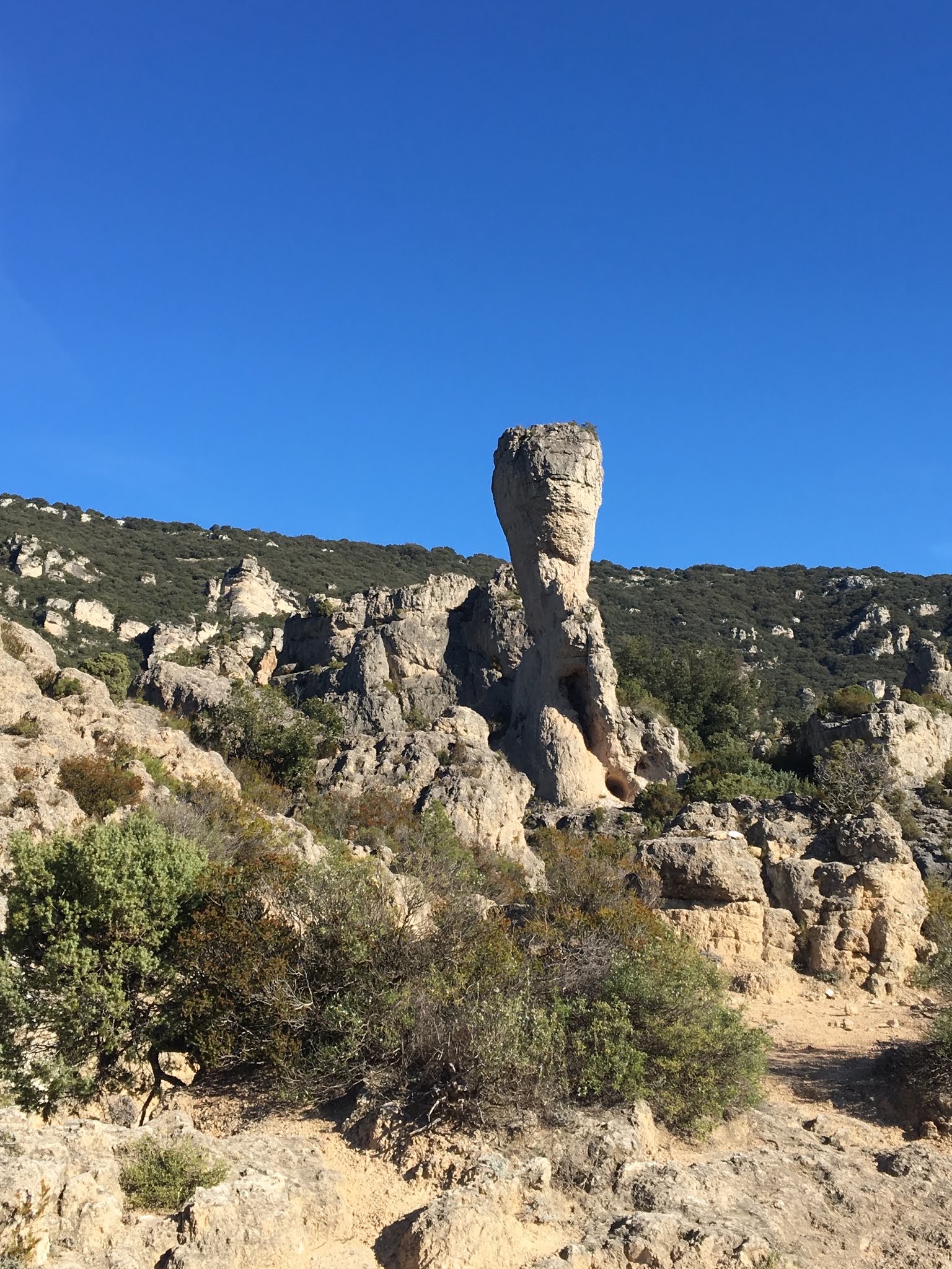 Photo n° 3 de l'avis de François.e fait le 17/02/2020 à 18:10