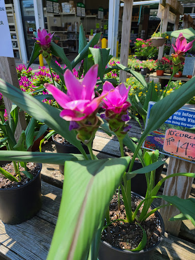 Home Improvement Store «Menards», reviews and photos, 7145 E 96th St, Indianapolis, IN 46250, USA