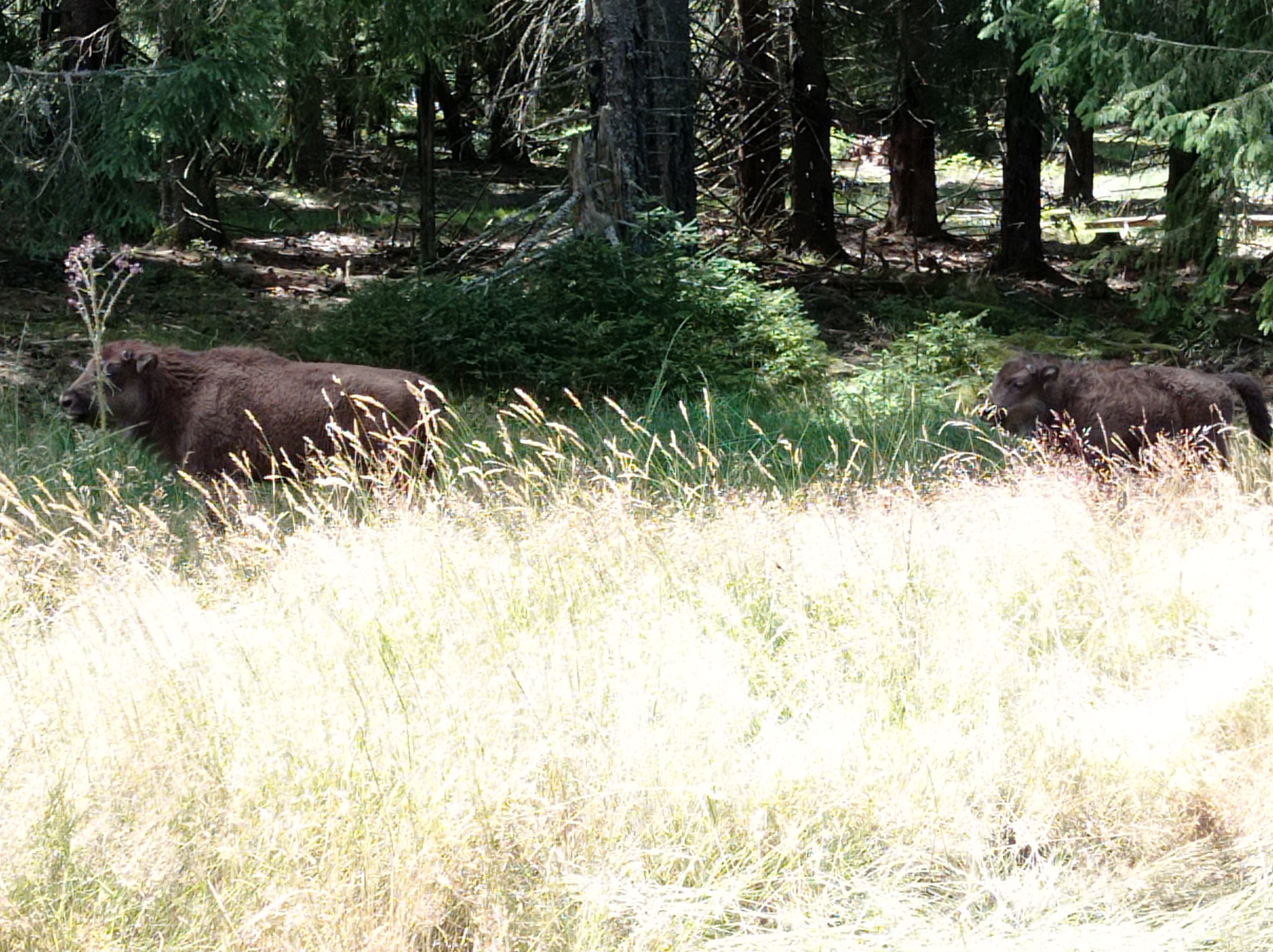 Photo n° 5 de l'avis de Alexandre.r fait le 23/07/2022 à 17:36