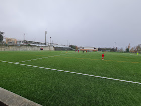 Campo Sintético do FC Penafiel