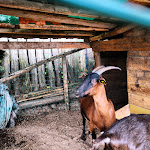 Photo n°7 de l'avis de Antonio.a fait le 30/07/2019 à 17:04 sur le  La Sorgente del Melo à Vico Equense