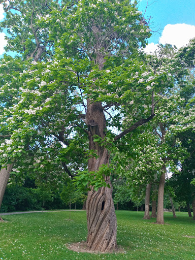 Park «Garfield Park», reviews and photos, 2505 Conservatory Dr, Indianapolis, IN 46203, USA