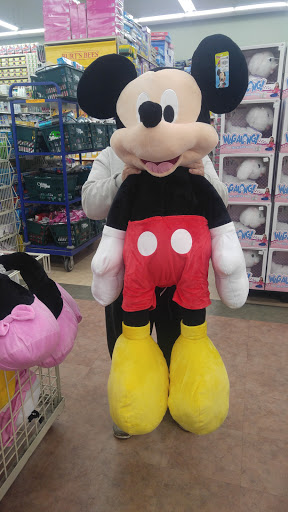 Home Goods Store «Christmas Tree Shops», reviews and photos, 46 Springer Dr, Bangor, ME 04401, USA