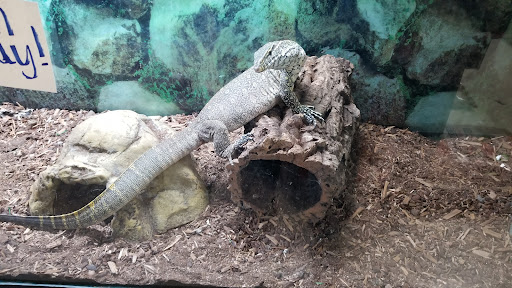 Pet Store «Pet Land», reviews and photos, 1450 Fort Campbell Blvd, Clarksville, TN 37042, USA