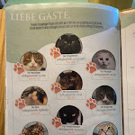 Photo n°2 de l'avis de Dietmar.. fait le 24/04/2023 à 17:25 sur le  Katzentempel Hamburg Hafencity à Hamburg