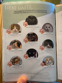 Katzentempel Hamburg Hafencity à Hamburg menu