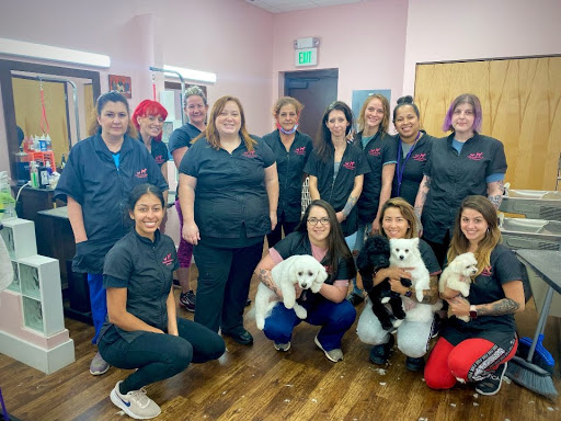 Pet Groomer «Woof Gang Bakery & Grooming, The Villages», reviews and photos, 3682 Meggison Rd, The Villages, FL 32163, USA