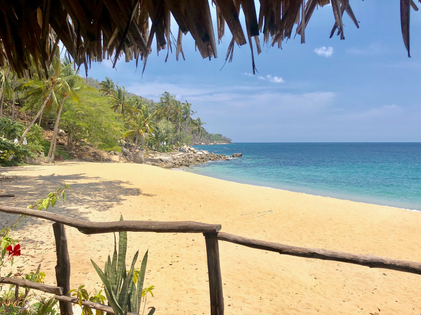 Pizota beach'in fotoğrafı çok temiz temizlik seviyesi ile