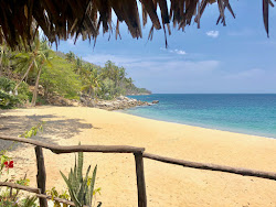 Pizota beach'in fotoğrafı çok temiz temizlik seviyesi ile