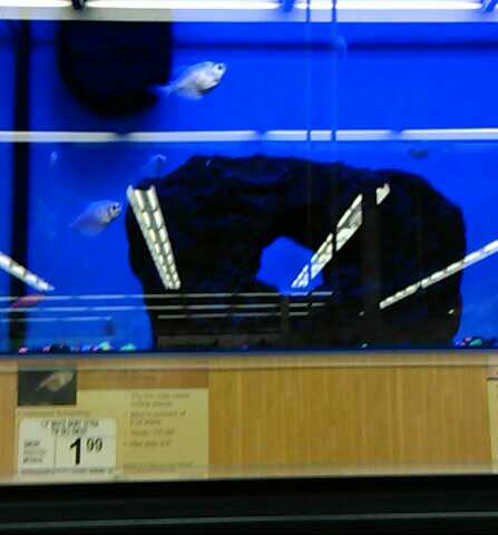 Pet Supply Store «Petco Animal Supplies», reviews and photos, 675 Deis Dr i, Fairfield, OH 45014, USA