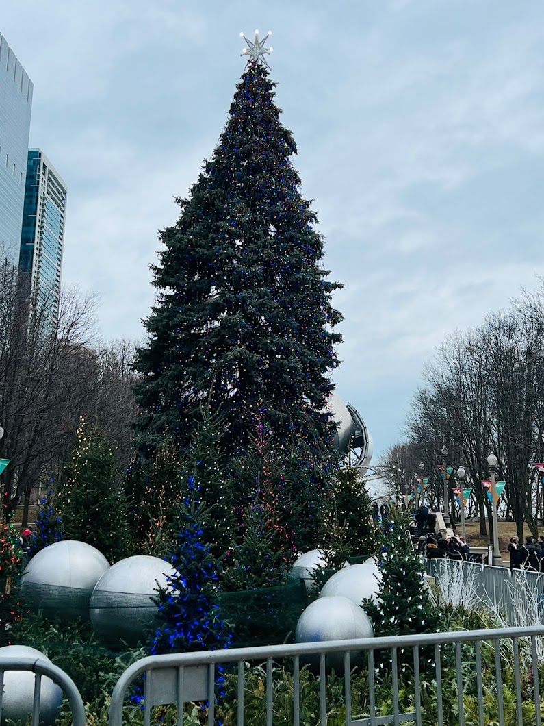 Christmas Trees Chicago