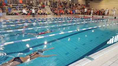 Albi Sports Aquatiques à Albi