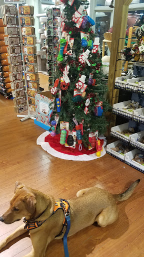 Pet Supply Store «Concord Pet Foods & Supplies», reviews and photos, 4275 County Line Rd, Chalfont, PA 18914, USA