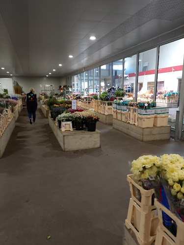 Rezensionen über FleuraMetz Suisse AG in Baden - Blumengeschäft